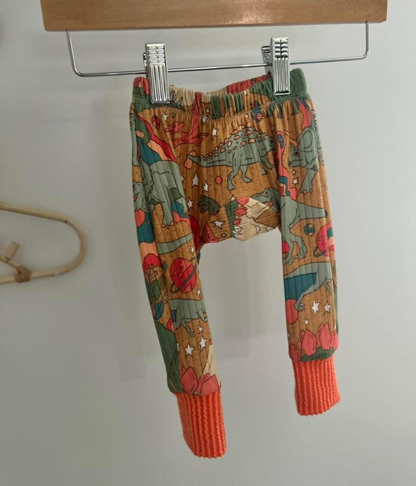 3-6M Colorblocked Dino Joggers