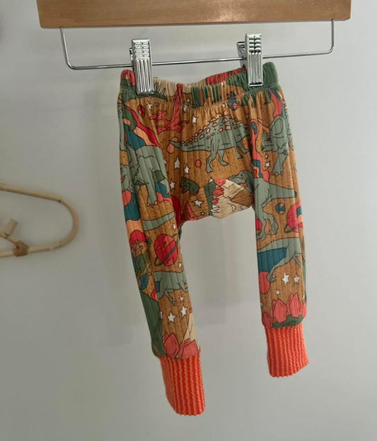3-6M Colorblocked Dino Joggers