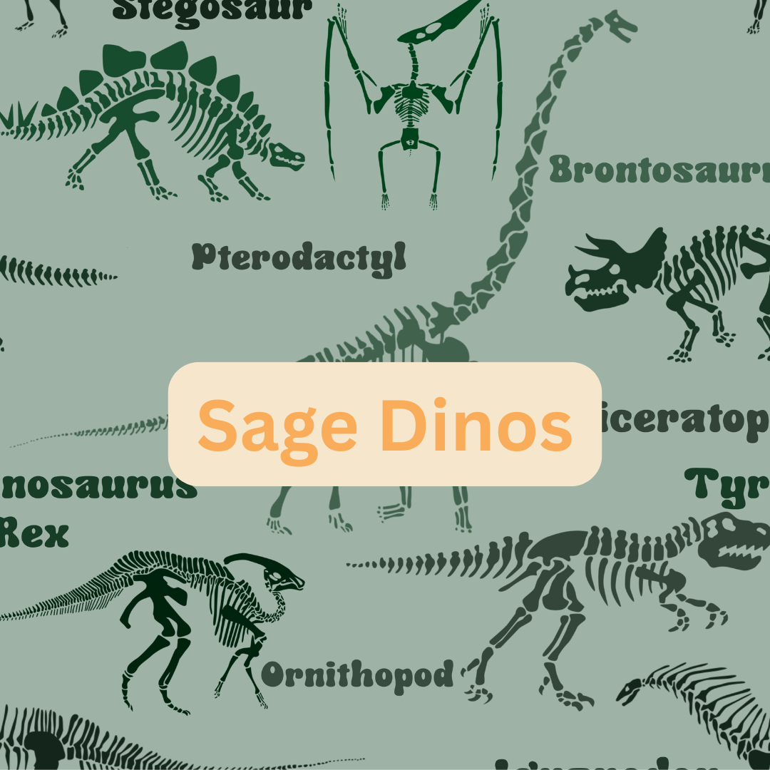 Create your lounge set